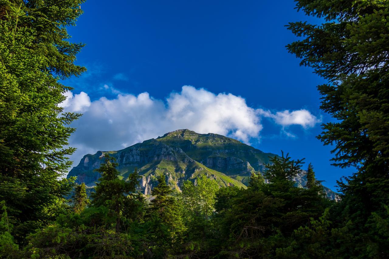 Anavasi Mountain Resort プラマンタ エクステリア 写真